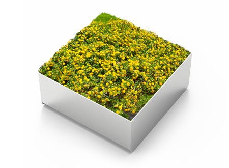 Orbit Planter 06.450.4